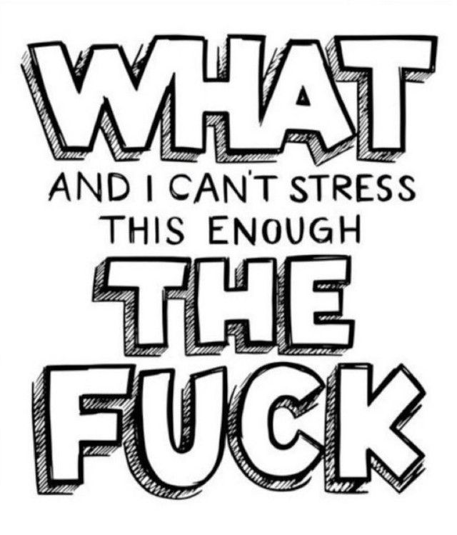 WHAT (and I can't stress this enough) THE FUCK